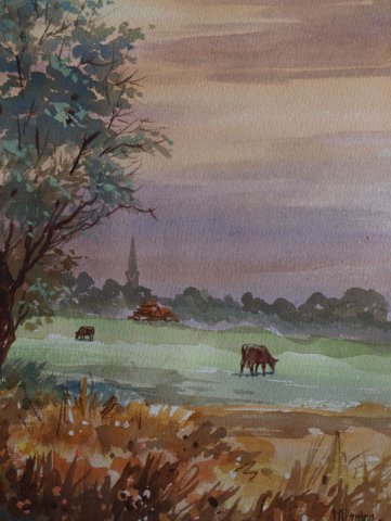 Avond landschap